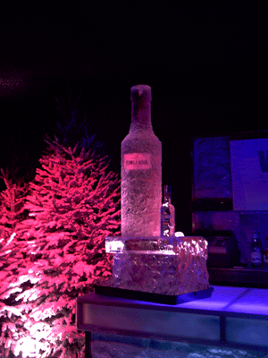Vodka Bottle Ice Luge