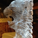 Aslan Vodka Luge from Passion for Ice