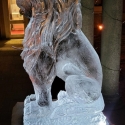 Aslan The Lion by Passion for Ice