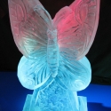 Butterfly Ice Sculpture from Passion for Ice