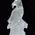 Eagle Portrait Vodka Luge from Passion for Ice  