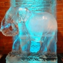 Standing Elephant Vodka Luge from Passion for Ice