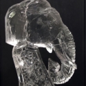 Circus Elephant Head Vodka Luge from Passion for Ice