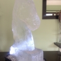 Polo Horse Head Ice Sculpture from Passion for Ice