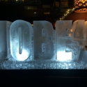 Jobe 40 Vodka Luge from Passion for Ice