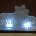 Lymphoma Association Vodka Luge from Passion for Ice