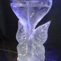 Martini Glass Vodka Luge from Passion for Ice