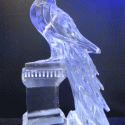 Peacock Vodka Luge from Passion for Ice