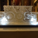 Student Roost Vodka Luge from Passion for Ice