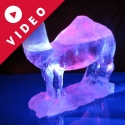 Camel Standing Vodka Luge from Passion for Ice