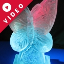 Butterfly Ice Sculpture from Passion for Ice