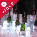 Champagne Display coolers