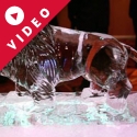 Circus Lion Vodka Luge from Passion for Ice