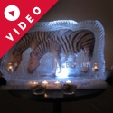 Circus Zebra Vodka Luge from Passion for Ice