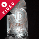 Dollar Symbol Vodka Luge (number One) from Passion for Ice