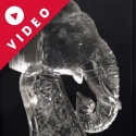 Circus Elephant Head Vodka Luge from Passion for Ice