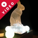 Hare Vodka Luge from Passion for Ice
