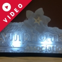 Lymphoma Association Vodka Luge from Passion for Ice