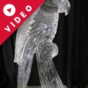 Parrot  Ice Sculpture by Passion for Ice