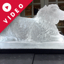 Sheep Vodka Luge from Passion for Ice