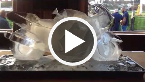 Honda Blackbird Motorbike Vodka Luge