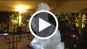 Horse Rearing Vodka Luge