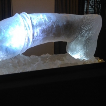 The 1m Long Penis Vodka Luge from Passion for Ice