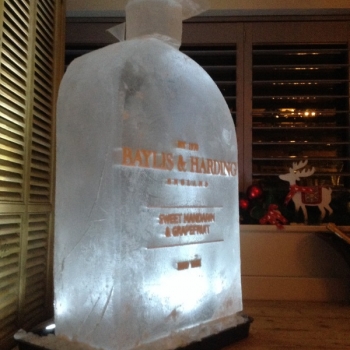 Baylis & Harding Handwash Bottle Vodka Luge from Passion for Ice