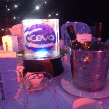 CEVA  Ice Centre Table Pieces from Passion for Ice