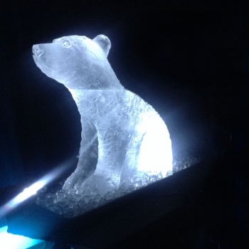 Side view of Polar Bear Vodka Luge from Passion for Ice