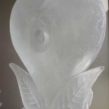 Close-up of Ring frozen into a Heart -shaped ice sculpture