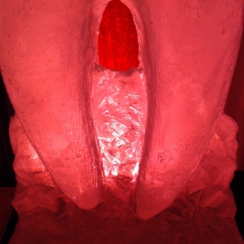 Molar Vodka Luge from Passion for Ice