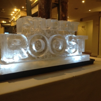 Student Roost Vodka Luge from Passion for Ice