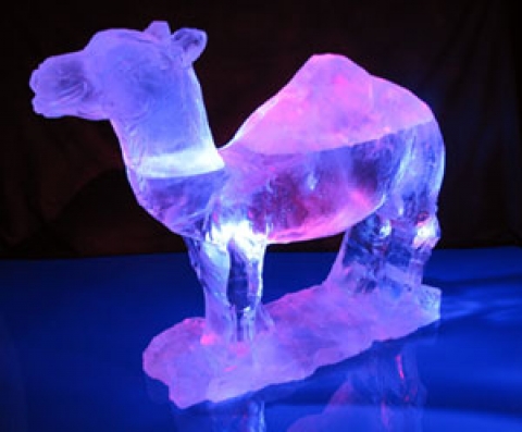 Camel Standing Vodka Luge from Passion for Ice