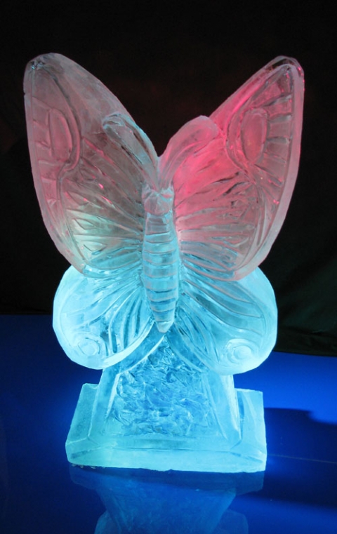 Butterfly Ice Sculpture from Passion for Ice