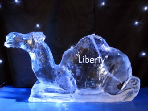 Camel - Seated Vodka Luge from Passion for Ice