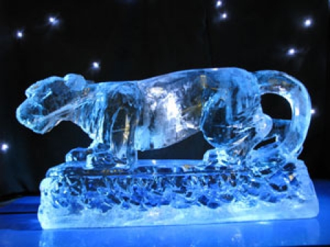 Circus Panther Vodka Luge from Passion for Ice