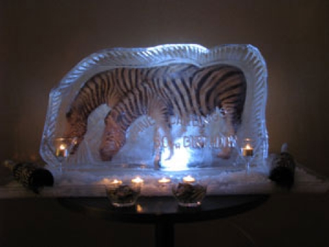 Circus Zebra Vodka Luge from Passion for Ice