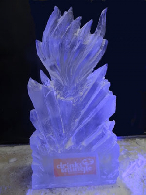 Fire  Vodka Luge from Passion for Ice