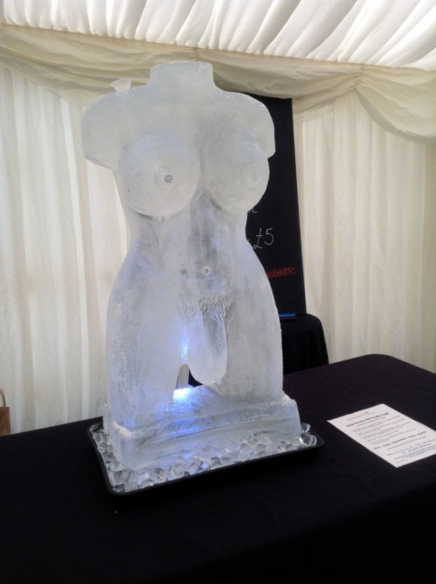 Hermaphrodite Vodka Luge from Passion for Ice