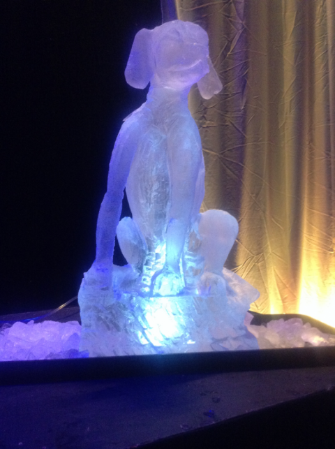 Hound Vodka Luge from Passion for Ice