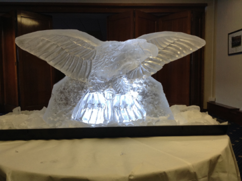 RAF Swooping Eagle Vodka Luge from Passion for Ice