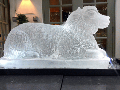 Sheep Vodka Luge from Passion for Ice