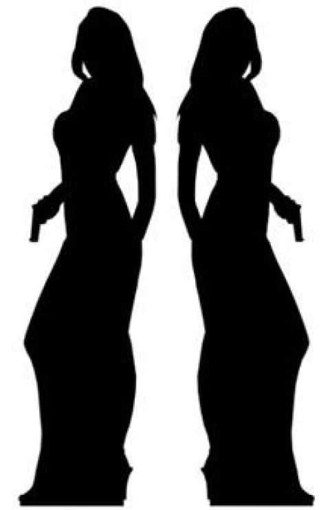 Secret Agent Female Silhouette - Double  Passion For Ice - Ice Sculpture  and Ice Luge Specialists