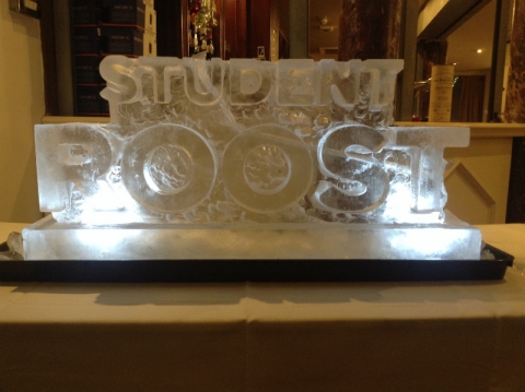 Student Roost Vodka Luge from Passion for Ice