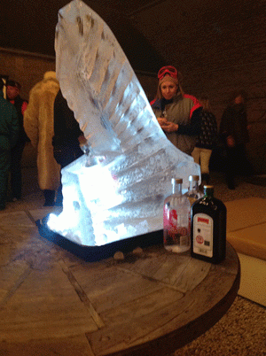 Apres Ski Party Ski Jump Luge